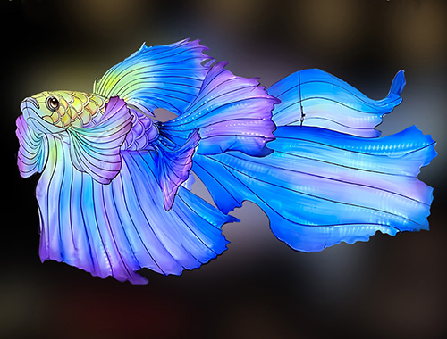 鳳尾魚花燈現貨